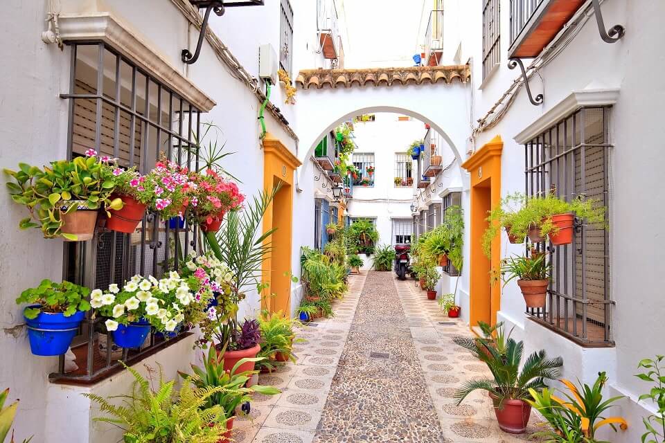 Small alley with flowers in Andalucia